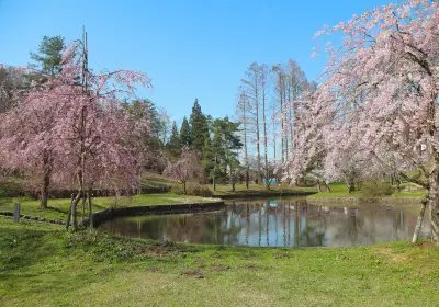 🌳 나가오카 공원(나가오카 코엔) 이미지 1